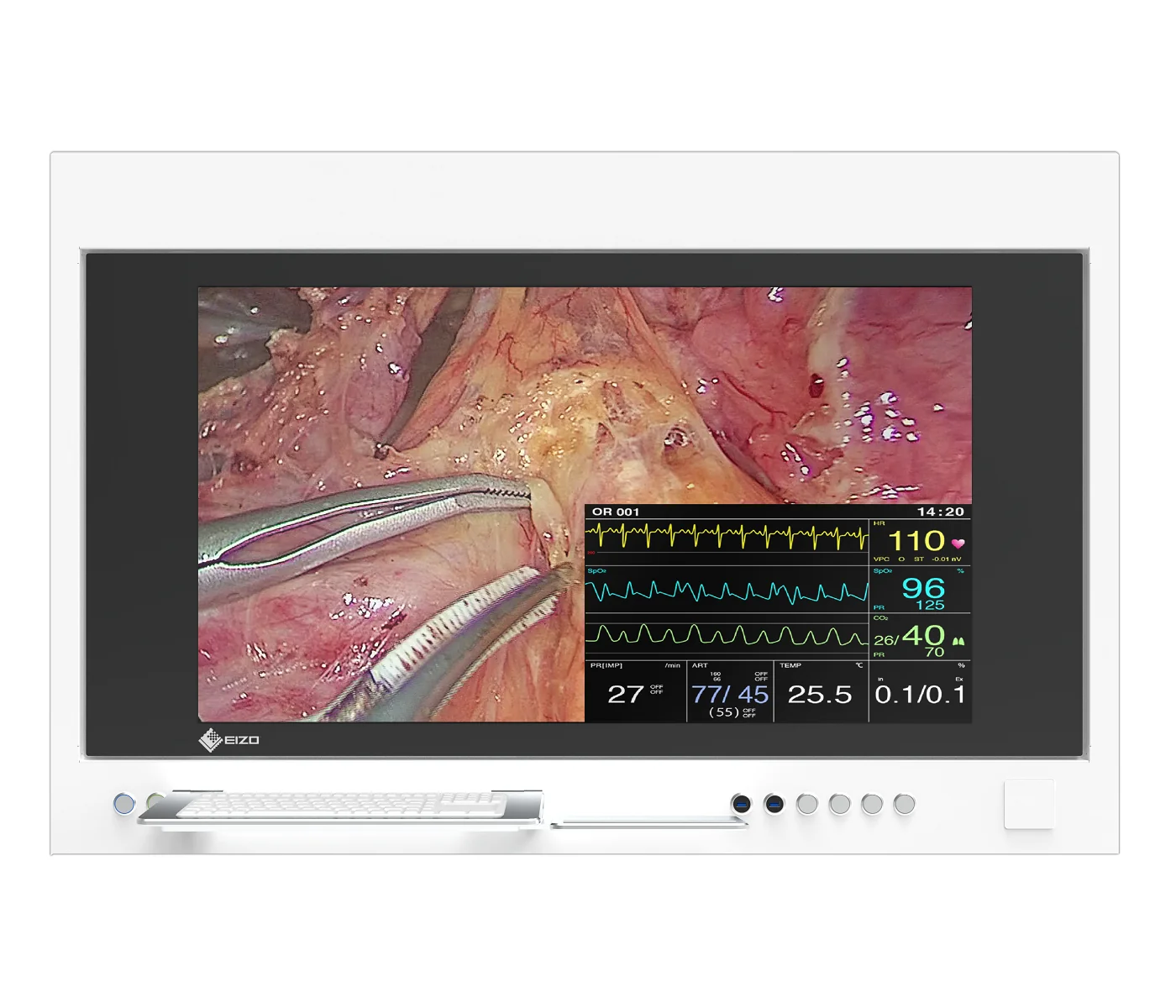 EIZO CuratOR SP1-434K, photo du modèle exact.