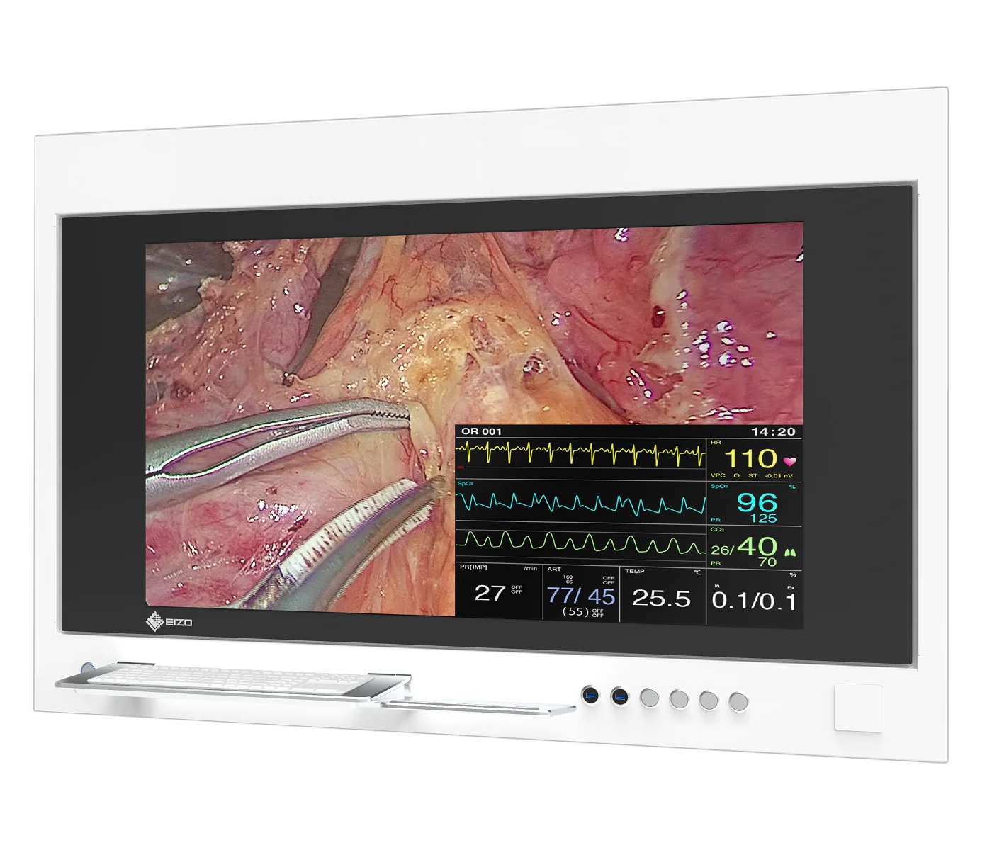 EIZO CuratOR SP1-434K, vue de profil.